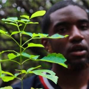 Meet your Posher, Dion